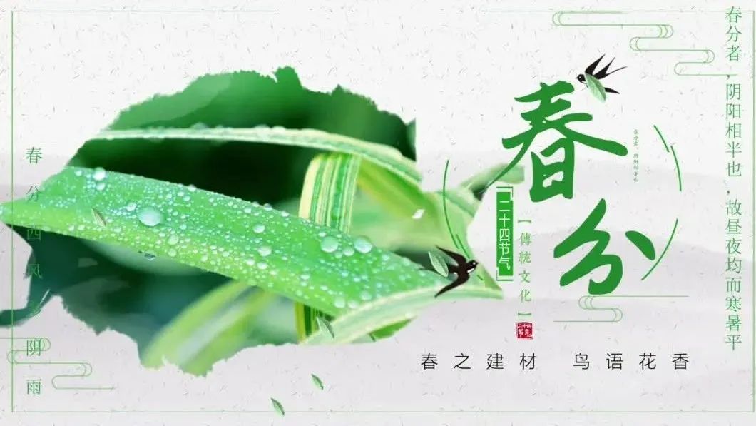 今日春分 | 春之建材，鸟语花香