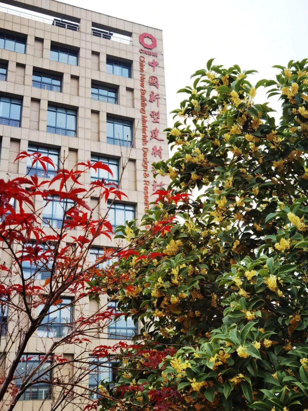 20231204094359024435 20231204094359024435