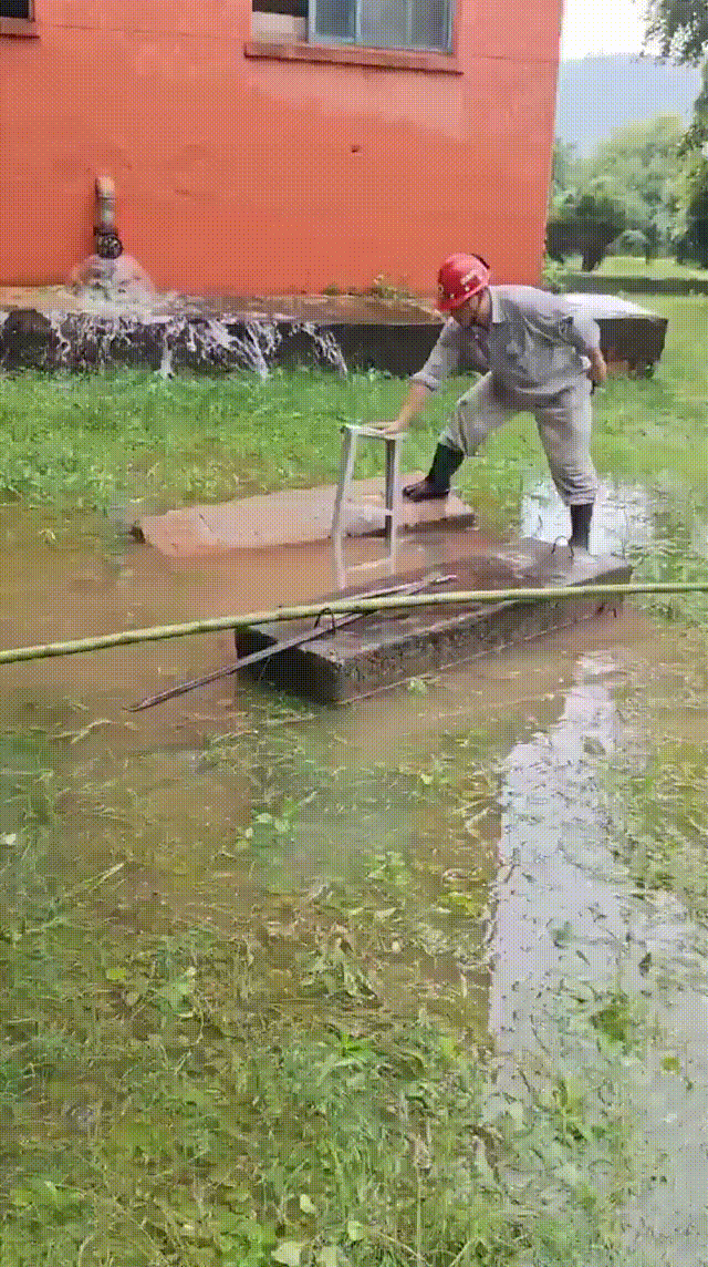 2024111409361645633
